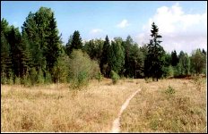 На Веймарн!