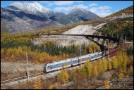 Кречет, Жгут и  Борода